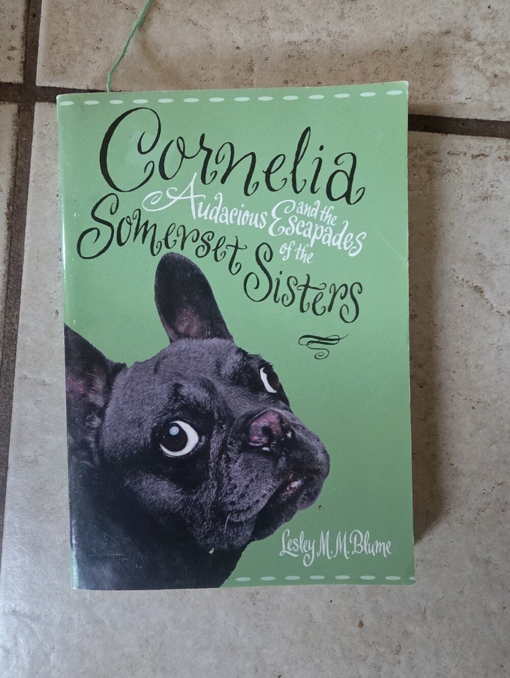 Scholastic Mint-Green Paperback with Black Bulldog Illustration